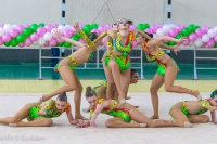 © ВФЭГ (RFAG)