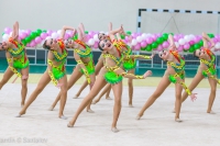 © ВФЭГ (RFAG)
