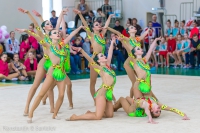 © ВФЭГ (RFAG)