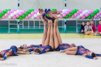 © ВФЭГ (RFAG)