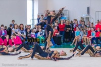 © ВФЭГ (RFAG)