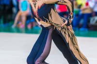 © ВФЭГ (RFAG)