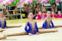© ВФЭГ (RFAG)