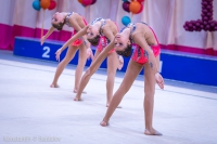 © ВФЭГ (RFAG)