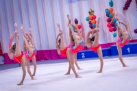 © ВФЭГ (RFAG)