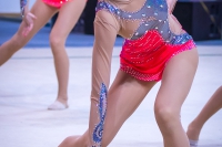 © ВФЭГ (RFAG)
