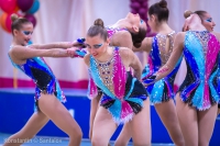 © ВФЭГ (RFAG)