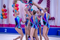 © ВФЭГ (RFAG)
