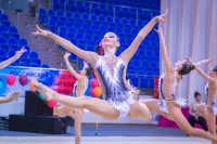 © ВФЭГ (RFAG)