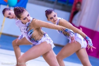 © ВФЭГ (RFAG)