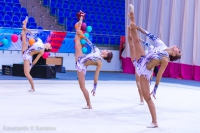 © ВФЭГ (RFAG)