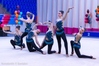 © ВФЭГ (RFAG)