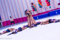 © ВФЭГ (RFAG)
