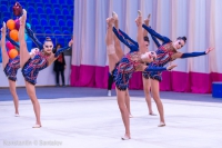 © ВФЭГ (RFAG)