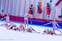 © ВФЭГ (RFAG)