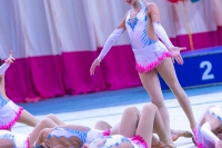 © ВФЭГ (RFAG)