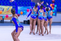 © ВФЭГ (RFAG)