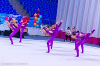 © ВФЭГ (RFAG)