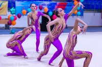 © ВФЭГ (RFAG)