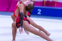 © ВФЭГ (RFAG)