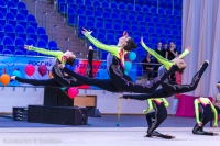 © ВФЭГ (RFAG)