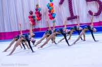 © ВФЭГ (RFAG)
