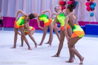 © ВФЭГ (RFAG)
