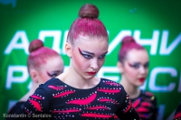© ВФЭГ (RFAG)