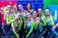 © ВФЭГ (RFAG)