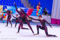 © ВФЭГ (RFAG)