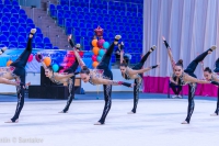 © ВФЭГ (RFAG)