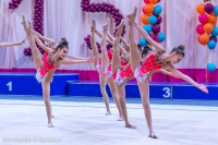 © ВФЭГ (RFAG)