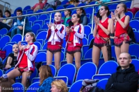 © ВФЭГ (RFAG)