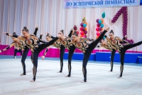 © ВФЭГ (RFAG)