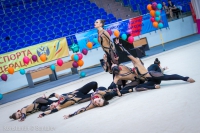 © ВФЭГ (RFAG)
