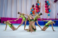 © ВФЭГ (RFAG)