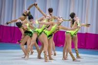 © ВФЭГ (RFAG)