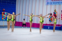 © ВФЭГ (RFAG)