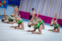 © ВФЭГ (RFAG)