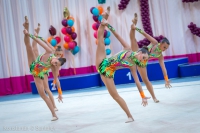 © ВФЭГ (RFAG)