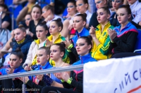 © ВФЭГ (RFAG)