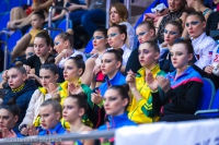 © ВФЭГ (RFAG)