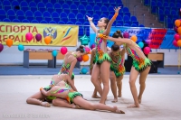 © ВФЭГ (RFAG)