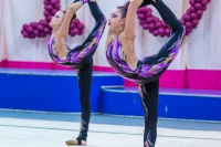 © ВФЭГ (RFAG)