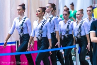 © ВФЭГ (RFAG)