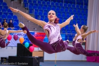 © ВФЭГ (RFAG)
