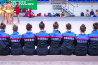 © ВФЭГ (RFAG)