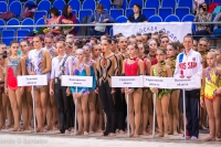 © ВФЭГ (RFAG)