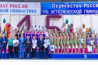 © ВФЭГ (RFAG)