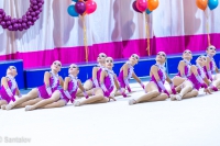 © ВФЭГ (RFAG)